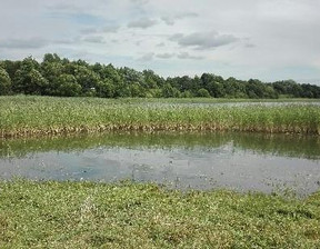 Działka na sprzedaż, Olsztyński Jeziorany Pierwągi, 389 000 zł, 11 106 m2, 3212