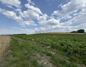 Budowlany na sprzedaż, Pyrzycki Bielice, 115 000 zł, 2300 m2, MAP22797