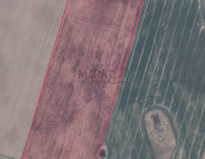 Rolny na sprzedaż, Pyrzycki Bielice, 559 000 zł, 58 862 m2, MAP22441
