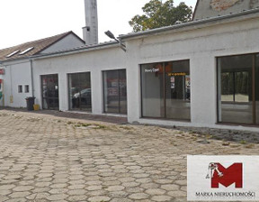 Lokal do wynajęcia, Kędzierzyńsko-Kozielski Kędzierzyn-Koźle B. Chrobrego, 3000 zł, 200 m2, 290