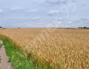 Działka na sprzedaż, Poznański Tarnowo Podgórne Swadzim, 6 750 000 zł, 23 663 m2, VX262832