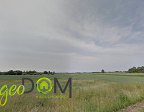 Rolny na sprzedaż, Chełmski Wierzbica Busówno-Kolonia, 125 000 zł, 24 978 m2, GDN749045