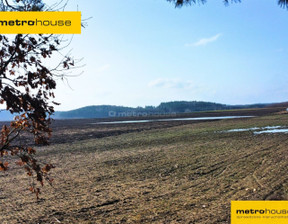 Działka na sprzedaż, Starogardzki Kaliska Iwiczno, 90 000 zł, 1200 m2, DECE077