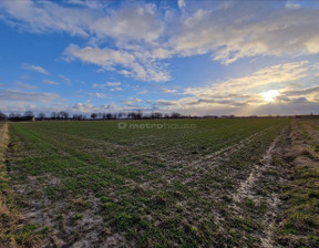 Rolny na sprzedaż, Bialski Terespol Polatycze, 30 000 zł, 8482 m2, NURU218