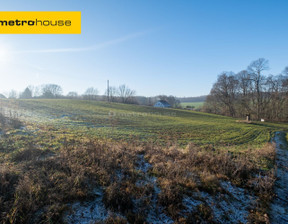 Działka na sprzedaż, Legnicki Chojnów Okmiany, 120 000 zł, 4505 m2, SGJIJI761