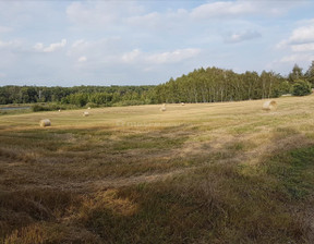 Rolny na sprzedaż, Poznański Stęszew Wielka Wieś, 1 351 560 zł, 9654 m2, HENA068