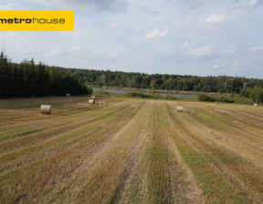 Działka na sprzedaż, Poznański Stęszew Wielka Wieś Bukowska, 1 220 000 zł, 19 079 m2, SGGIPA151