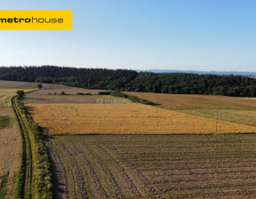 Działka na sprzedaż, Kłodzki Bystrzyca Kłodzka Stara Łomnica, 150 000 zł, 1400 m2, SGNIHU698