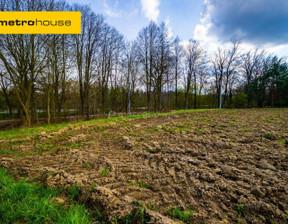 Działka na sprzedaż, Cieszyński Zebrzydowice Kończyce Małe Świtezianki, 145 000 zł, 1250 m2, SGMAVA574