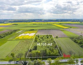 Handlowo-usługowy na sprzedaż, Oławski (pow.) Oława (gm.) Stanowice Wrocławska, 1 490 000 zł, 16 133 m2, 20240510