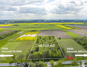 Rolny na sprzedaż, Oławski (pow.) Oława (gm.) Stanowice Wrocławska, 1 490 000 zł, 16 133 m2, 20240510