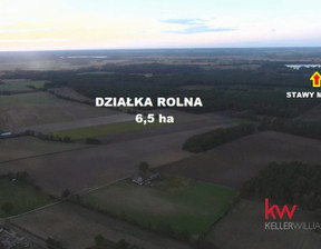 Działka na sprzedaż, Milicki Milicz Borzynowo, 650 000 zł, 65 000 m2, KW379002