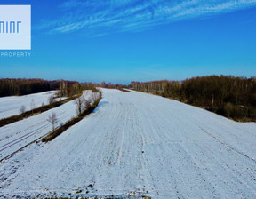 Handlowo-usługowy na sprzedaż, Sędziszów Małopolski Borek Wielki, 900 000 zł, 11 266 m2, 22783