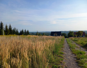 Działka na sprzedaż, Krakowski (Pow.) Skała (Gm.) Świńczów, 290 000 zł, 1000 m2, 19236223