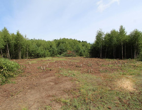 Budowlany na sprzedaż, Czarnkowsko-Trzcianecki (pow.) Lubasz (gm.) Krucz Krucz, 155 000 zł, 1556 m2, 194