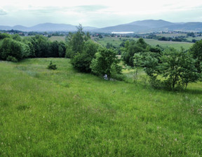 Działka na sprzedaż, Żywiecki Gilowice Rychwałd, 42 000 zł, 1100 m2, PRO300_PL965549