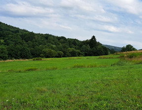 Działka na sprzedaż, Krośnieński Wojaszówka Pietrusza Wola, 46 800 zł, 5200 m2, 96