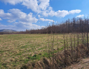 Działka na sprzedaż, Jasielski Osiek Jasielski Pielgrzymka, 99 000 zł, 17 019 m2, 122