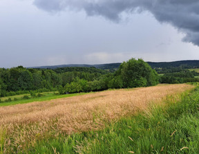 Rolny na sprzedaż, Jasielski (pow.) Kołaczyce (gm.) Sieklówka, 52 000 zł, 8575 m2, 134