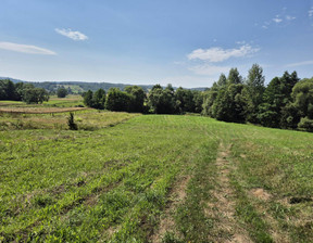 Działka na sprzedaż, Brzozowski Domaradz Golcowa, 80 000 zł, 8051 m2, 141