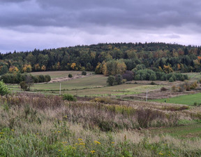 Działka na sprzedaż, Krośnieński Jedlicze Długie, 23 000 zł, 1910 m2, 154