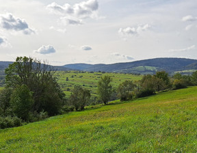 Działka na sprzedaż, Krośnieński (Pow.) Dukla (Gm.) Posada Jaśliska, 55 000 zł, 9900 m2, 142