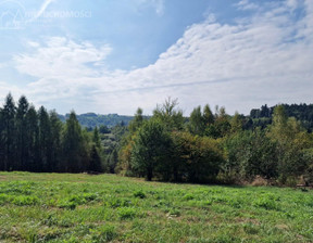 Rolny na sprzedaż, Tarnowski (pow.) Tuchów (gm.) Tuchów, 149 000 zł, 4632 m2, 95