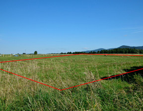 Działka na sprzedaż, Kłodzki (Pow.) Międzylesie (Gm.) Domaszków, 139 000 zł, 2324 m2, 39