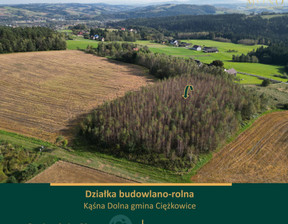 Działka na sprzedaż, Tarnowski Ciężkowice Kąśna Dolna, 79 000 zł, 5900 m2, 49