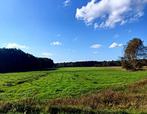 Budowlany na sprzedaż, Włoszczowski Radków Bałków, 99 000 zł, 4100 m2, SPL-GS-79