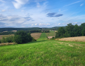 Działka na sprzedaż, Kielecki Raków Ociesęki, 125 000 zł, 22 400 m2, SPL-GS-62-1