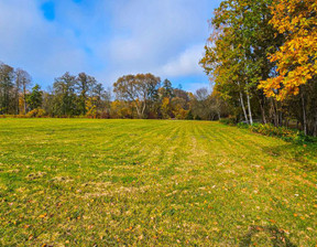 Działka na sprzedaż, Pruszkowski (pow.) Brwinów (gm.) Żółwin, 550 000 zł, 1000 m2, 748504