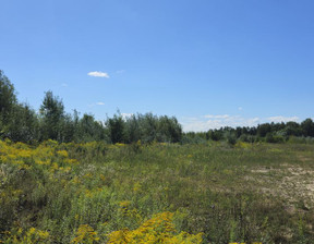 Działka na sprzedaż, Pruszkowski Brwinów Żółwin, 13 560 000 zł, 45 200 m2, 796027