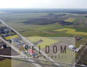 Działka na sprzedaż, Opolski Prószków Zimnice Wielkie Raciborska, 1 100 000 zł, 10 575 m2, 123/16507/OGS