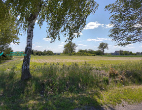 Rolny na sprzedaż, Grodziski Baranów Karolina, 1 440 000 zł, 28 800 m2, 13