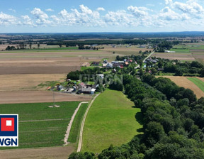 Działka na sprzedaż, Lęborski Nowa Wieś Lęborska Krępa Kaszubska, 249 000 zł, 6100 m2, 688