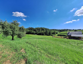 Działka na sprzedaż, Bocheński (Pow.) Nowy Wiśnicz (Gm.) Królówka, 155 000 zł, 3500 m2, 366686