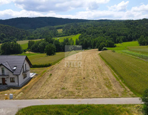 Działka na sprzedaż, Bocheński Lipnica Murowana Lipnica Dolna, 99 000 zł, 3000 m2, 381