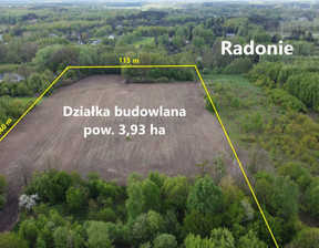 Działka na sprzedaż, Grodziski Grodzisk Mazowiecki Radonie, 7 000 000 zł, 39 300 m2, 2045/1807/OGS