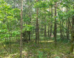 Leśne na sprzedaż, Garwoliński Garwolin Wilkowyja, 890 000 zł, 69 100 m2, 753