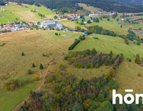 Działka na sprzedaż, Kłodzki Duszniki-Zdrój Zieleniec Zieleniec, 1 570 000 zł, 4300 m2, 2313/2089/OGS