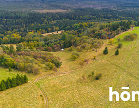 Działka na sprzedaż, Kłodzki Duszniki-Zdrój Zieleniec Zieleniec, 1 570 000 zł, 4300 m2, 2313/2089/OGS