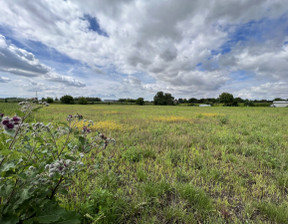 Działka na sprzedaż, Wrocławski Kobierzyce Małuszów Wschodnia, 439 000 zł, 1600 m2, 591858093