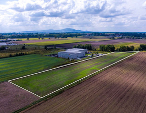 Działka na sprzedaż, Wrocławski Kobierzyce Wierzbice Oławska, 1 999 900 zł, 12 600 m2, 932101