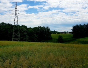 Działka na sprzedaż, Rybnicki Świerklany, 529 000 zł, 6250 m2, ZG724591