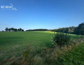 Działka na sprzedaż, Wejherowski (pow.) Łęczyce (gm.) Rozłazino Ofiar Stutthofu, 1 888 000 zł, 47 200 m2, 33