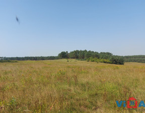 Działka na sprzedaż, Zielonogórski Zabór Droszków, 2 227 000 zł, 13 100 m2, VN1-GS-6561