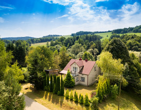 Dom na sprzedaż, Bieszczadzki (Pow.) Ustrzyki Dolne (Gm.) Stańkowa, 770 000 zł, 167 m2, 6