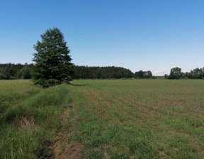 Działka na sprzedaż, Nowotomyski (pow.) Nowy Tomyśl (gm.) Cicha Góra Bukowiecka, 3 850 000 zł, 94 567 m2, 15