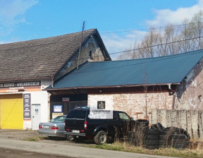 Lokal na sprzedaż, Wałbrzyski Czarny Bór Borówno, 299 000 zł, 170 m2, 2/16448/OHS